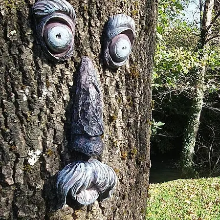 Quinta Do Moinho Da Insua