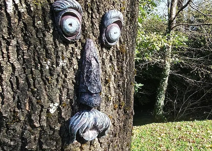 Quinta Do Moinho Da ínsua